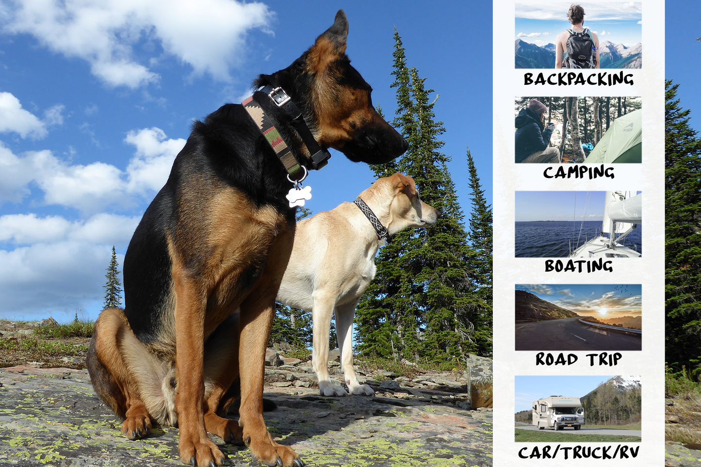 Mojo | Lightweight Inflatable Dog Bed & Blanket