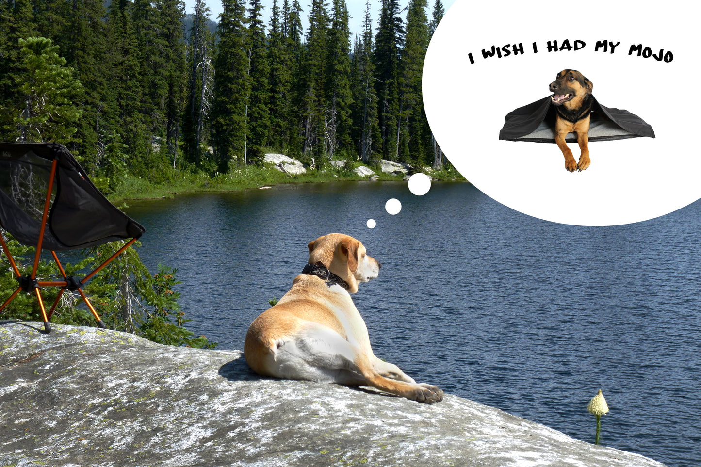Mojo | Lightweight Inflatable Dog Bed & Blanket